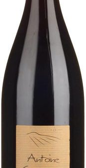 Saumur Champigny  La Paterne , Domaine Antoine Sanzay 2020 Cheap