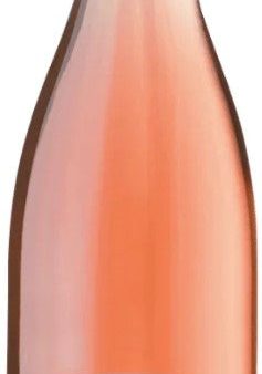 Sylvain Bailly Sancerre Rose La Louee 2022 on Sale