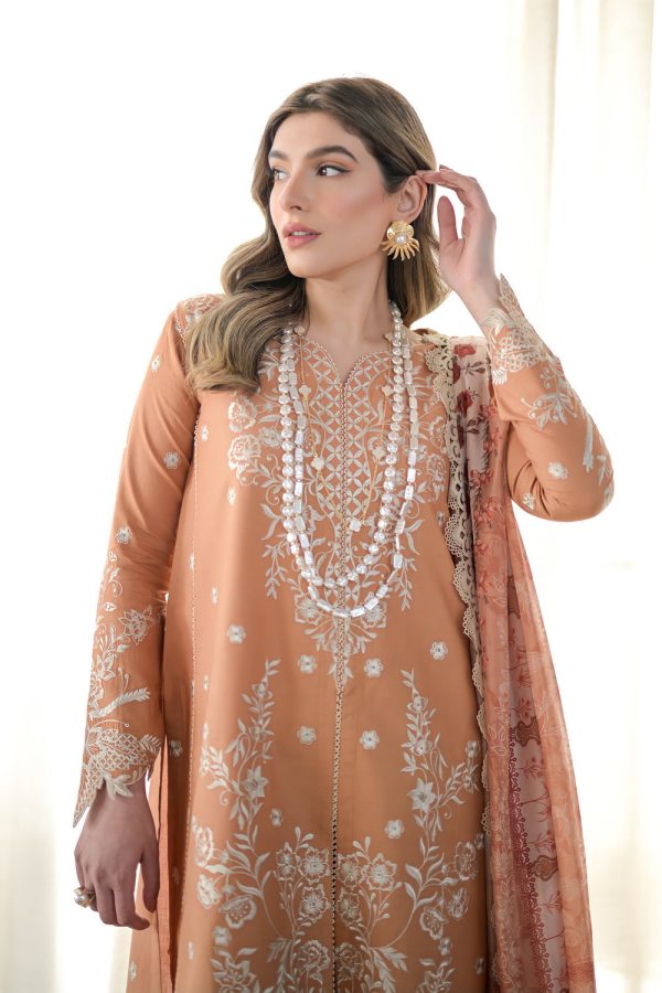 Luxury Lawn Vol 2  24 - Peach Sand - Nel-24614 (Rts) For Sale