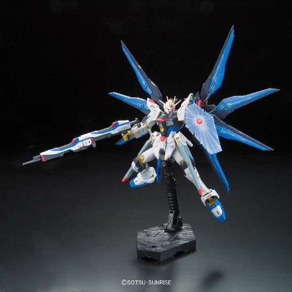 RG 1 144 #14 Strike Freedom Gundam Online