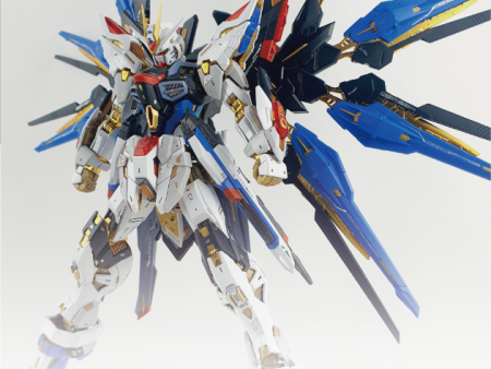 Delpi Decal MGEX Strike Freedom Supply