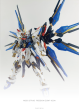 Delpi Decal MGEX Strike Freedom Supply