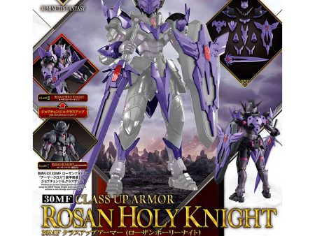 30MF CLASS UP ARMOR (ROSAN HOLY KNIGHT) For Sale