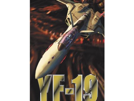 Hasegawa 1 72 Macross Plus YF-19 Advanced Variable Fighter For Sale