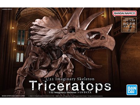 1 32 Imaginary Skeleton Triceratops For Discount