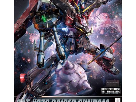 Full Mechanics SEED 1 100 #02 Raider Gundam Online Hot Sale